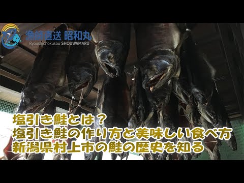 ¿Qué es el salmón salado? Cómo preparar y comer deliciosos ｜ Aprenda sobre la historia del salmón en la ciudad de Murakami, prefectura de Niigata Showamaru entregado directamente por pescadores