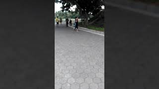 Download lagu Jangan kau mengejar cewek yang gk pasti, selow aja, jodoh gak akan kemana mp3