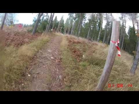 Närkes Terräng-DM (långa) 2016 - 12 km (Löparperspektiv, lång)