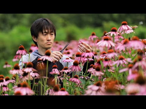 強い心を育む薬用植物 トピックス