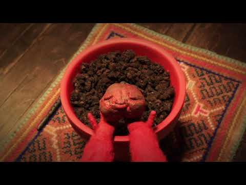 Oldboy's Apples | Trailer