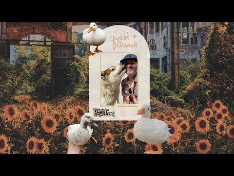 Sunflower Sessions - Tommy Echelon 7/25/25