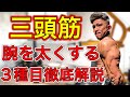 腕を太くする三頭筋の鍛え方!おすすめ種目3選!