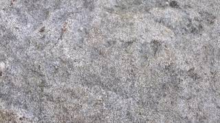 Download lagu Whitesnake , Blindman Lyrics mp3 Download lagu Whitesnake , Blindman Lyrics mp3