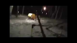 Marble Hornets Trailer
