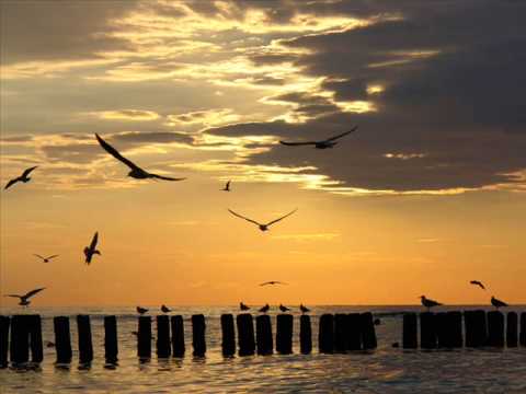 ork Zlatnite Mom4eta  Altin cocuklar  zalim Almanya