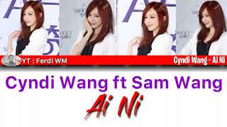 Cyndi Wang (Wáng Xīn Líng) 王心凌 - Ài Nǐ 爱你 / Love You