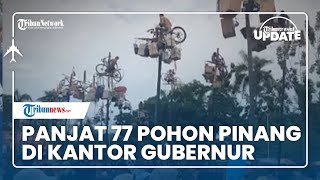 Lomba Panjat 77 Pohon Pinang di Kantor Gubernur Jambi, Begini Perjuangan Peserta Ambil Hadiahnya
