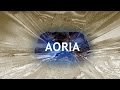 AORIA :: The Black Heart ( Lyrics ) Hybrid Rock HD ...