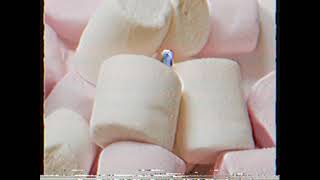Marshmallow & Puppet