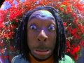 Head Bobs - Black Eyed Peas