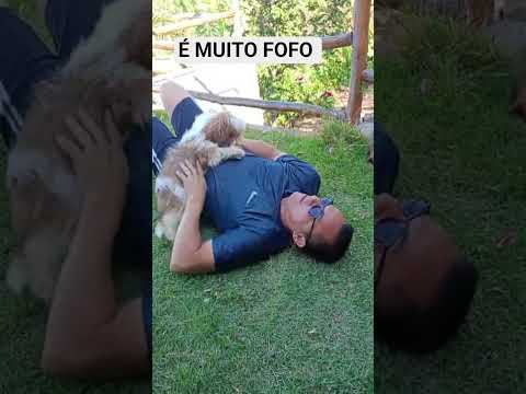 CIDADE DE PALMÁCIA #ESTADO #CEARA#BRASIL