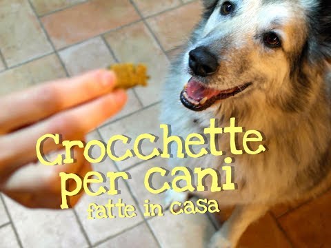 Gal da osteocondrosi Dispositivo magnetico per il trattamento di verifiche congiunte