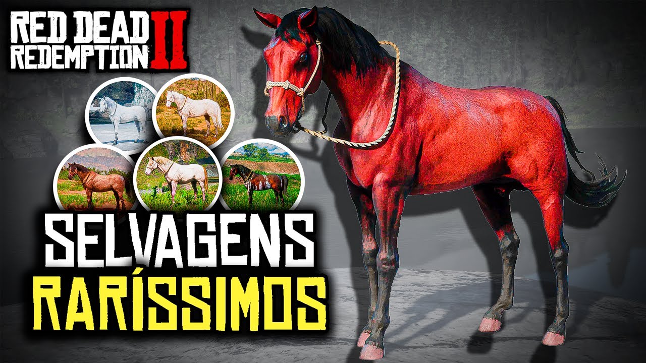 VISITEI 6 LOCAIS DE CAVALOS RAROS - RED DEAD REDEMPTION 2