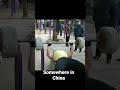 Flintstone gym China
