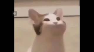 اطول كومنت له تثبيت 😆