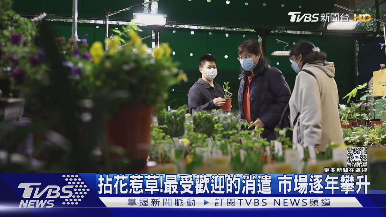 園藝治療成顯學！擁抱綠色療癒五感　「拈花惹草」助身心健康