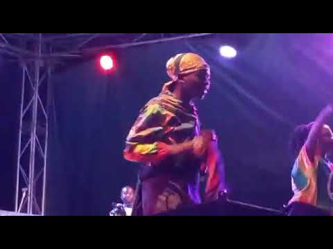 Zedy wady x Skipa - Since day one performance