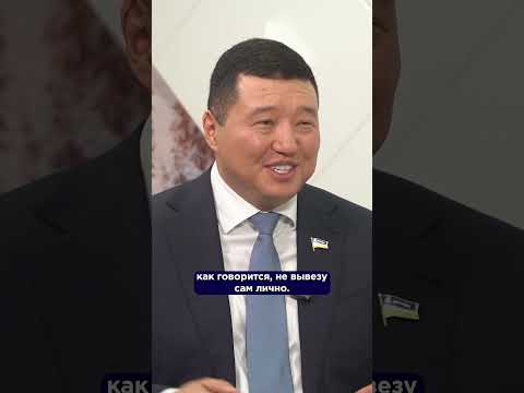 «Стерилизовать, штрафовать, наказывать»