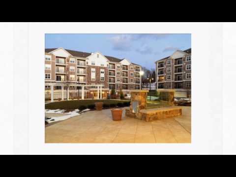 Palmer View | Check Out Our Floor Plans