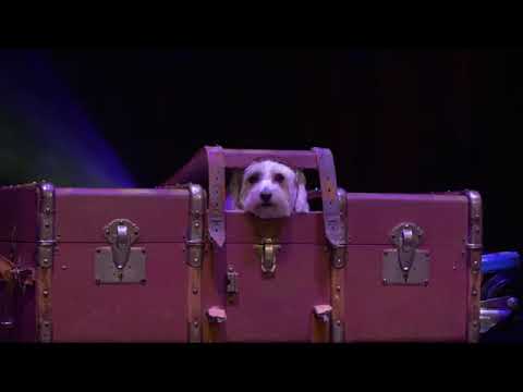 Little Cabaret "le Phil rouge" #franckpinard 2023