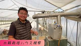 水耕栽培 根 茶色 أشهر موقع لمشاركة مقاطع الفيديو الموسيقية على الإنترنت 水耕栽培 根 茶色 أشهر موقع لمشاركة مقاطع الفيديو الموسيقية على الإنترنت