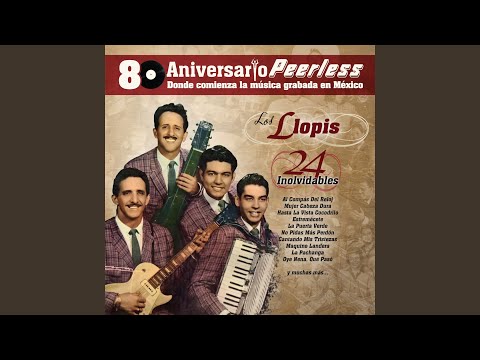 Hasta la Vista Cocodrilo