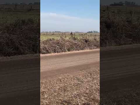 Rally Santafesino 2025, Pujato, Santa Fe. Una fecha con caida y luxacion del hombro, pero 3eros.