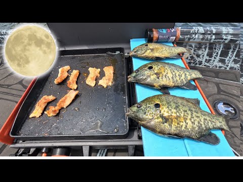 Blackened Shellcracker Catch n' Cook! How to Find BIG Bream on the Full Moon!