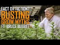 Busting Cannabis Grow Myths With Prof. Bruce Bugbee