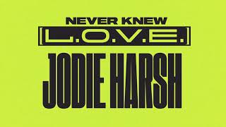 Jodie Harsh - Never Knew (L.O.V.E.) video