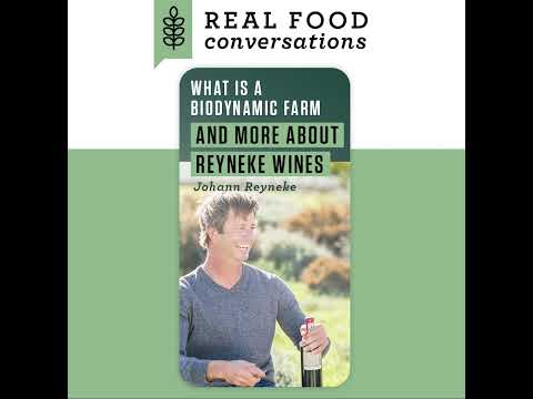 What is a biodynamic farm and what stands out about Reyneke wines