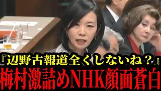 5/16【国会】参政党/梅村みずほ議員、辺野古問題をぶった斬る！国民の声を代弁でしてくれました！#参政党#神谷宗幣#片山さつき#小野田紀美#高市早苗#日本保守党