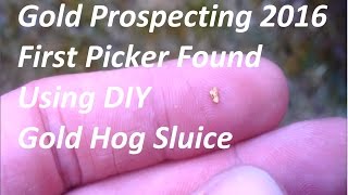 First Gold Picker Using DIY Gold Hog Sluice Gold Prospecting Wanlockhead Scotland March 2016 (pt1)
