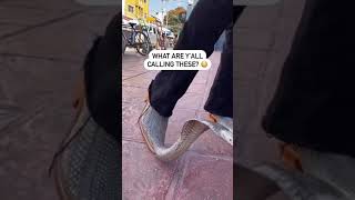 COBRA COWBOY BOOTS!!! 😂😂😂#shorts #funny #cowboys #boots