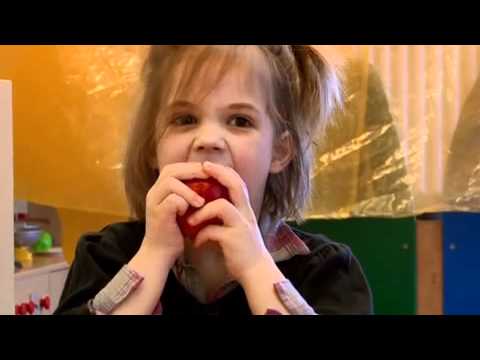 08 Das Konrad Koester Frischekonzept - Kindergarten Pfiffikus