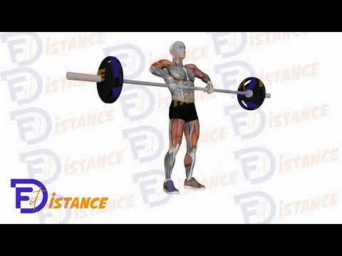 Exercice Clean Pull à la barre