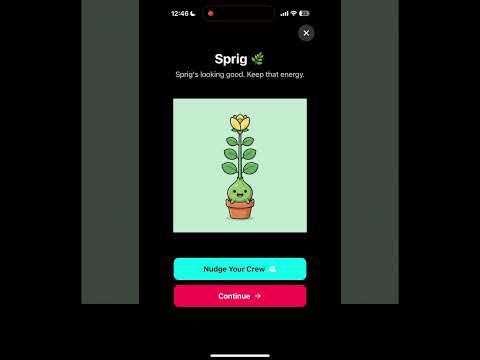 WeSweat: Longevity Habits