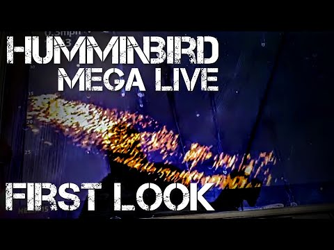 MEGA LIVE - Raw on the Water Video of Humminbird's New Transducer