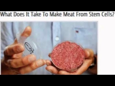 Labs using Animal Stem Cells to make Meat for Human consumption Breaking News December 2018 Video