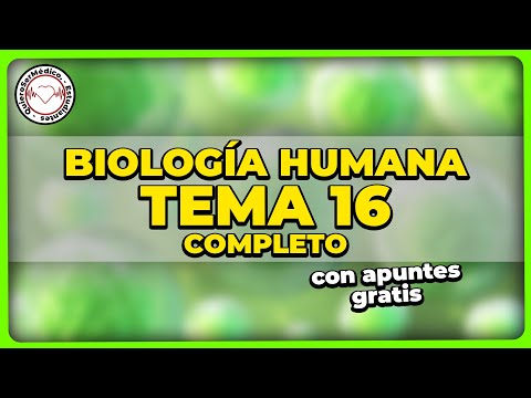 NÚCLEO EN INTERFASE, CROMATINA, NUCLEOSOMA Y ESTRUCTURA DEL CROMOSOMA | Tema 16 Biología humana