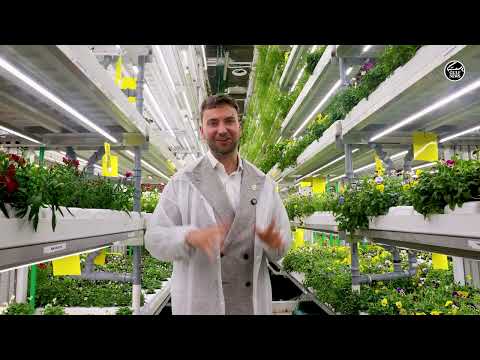 UEA: From investment banker to farmer: Why Dubai founder says UAE needs vertical farming now
