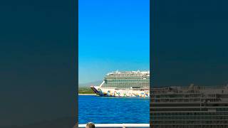 Norwegian Encore l Princess Majestic l Lại ra khơi thôi 🛳️🚢✨✨💫#cruise #shorts