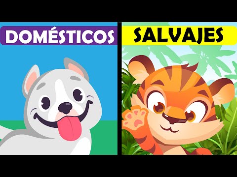los animales narración, doblaje: Español ELE video lecciones