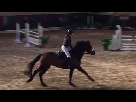 Cyclone De Vains - Viola Sofia Betti