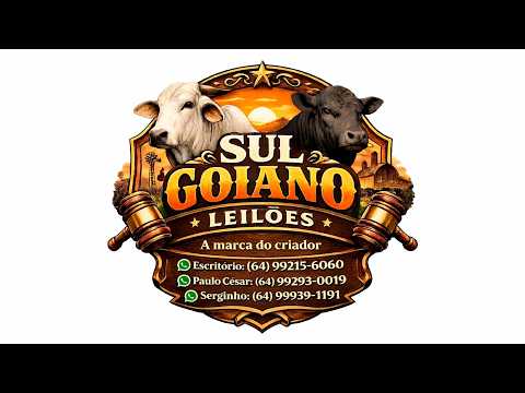 Sul Goiano Leilões - 05.08.26 - #Goiatuba #leilaodegado #Gado