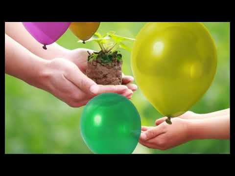 Ta vẫn là ta - Nguyễn Xuân Lưu