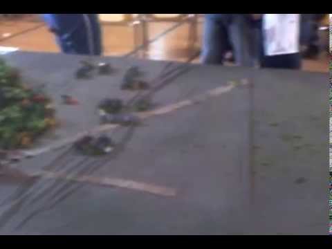 Battle of Ligny RPG war sim part.1