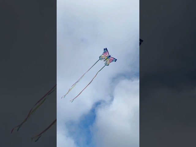 Vídeo relacionado con Wolkenstürmer Cometa Fancy para Niños, Multicolor, Listo para Volar, con Varillas de Fibra de Vidrio, Cometas para Principiantes.