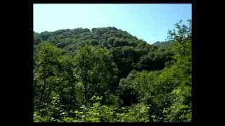 preview picture of video '01/04 - Camino de Santiago 2012 - Saint Jean Pied de Port - Roncesvalles'